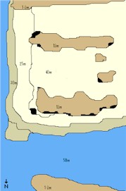 Nurse Shark Point